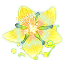 Flower of Eternity image