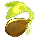 Fresh Seed of Dawn image