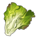 Lettuce image